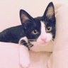 MIHOcrew5 profil fotoğrafı