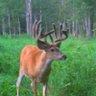 Bow Hunter21🇨🇦 profil fotoğrafı
