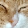 slcogkslx profil fotoğrafı