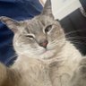 Profilbild von creamdie