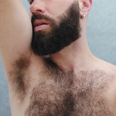 MachoPeludaoSC's profile picture