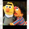 Bert & Ernie 🇩🇪💙 的头像