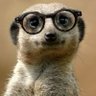 Danilo Oveja's profile picture