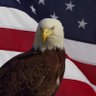 Фото профиля usa
