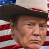 Profilbild von Don Wayne