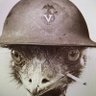 The Crusading Emu profil fotoğrafı