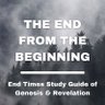 Profilbild von The End From The Beginning