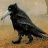 Profilbild von Carnyxcall
