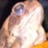worm.gov's profile picture