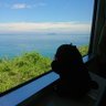 hatena profil fotoğrafı