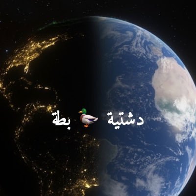 dashtiabataa's profile picture