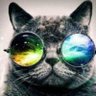 le doryphore's profile picture