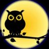 Profilbild von LVNiteOwl