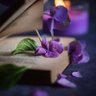 زهرة البنفسج's profile picture