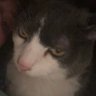 mills's profile picture