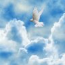 CHI_𓆩︎🕊️︷ ☘️𝘓𝘦𝘢𝘧☘️ ︷ 🕊️𓆪 profil fotoğrafı