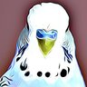 PEBird profil fotoğrafı