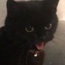 نَجمة's profile picture