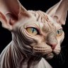 Antihero's profile picture