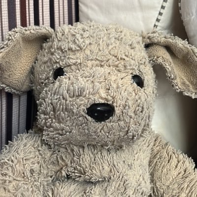 DoggyDog1208's profile picture