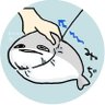 ももんじゃ profil fotoğrafı
