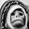Profilbild von IL