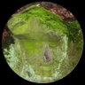 Crocdundee 🔥 profil fotoğrafı
