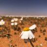 Фото профиля سعود الثبيتي