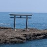 くまくん profil fotoğrafı