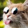 Profilbild von Pauline