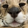 wurmturm's profile picture