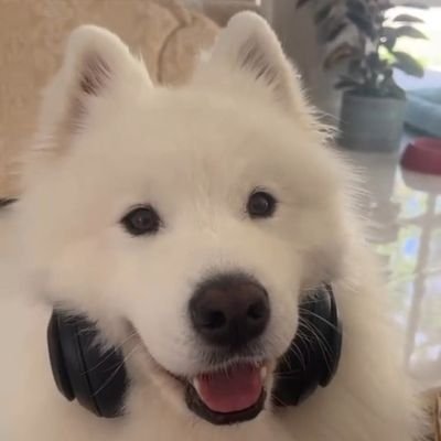 你的女友's profile picture