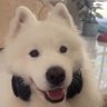 你的女友's profile picture