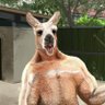 どびん profil fotoğrafı