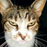 ΔνΕχωΙντρανετ profil fotoğrafı