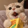 LOLX's profile picture