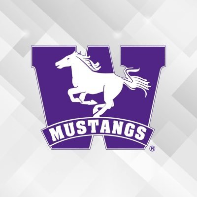 WesternMustangs's profile picture