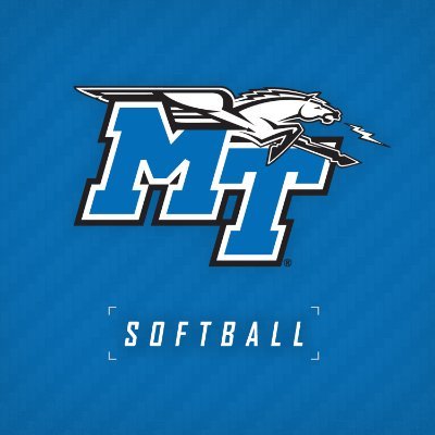 MT_Softball's profile picture