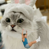 스땃's profile picture