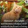 Orang 的头像