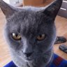 Profilbild von Ethel