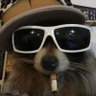 KM's profile picture