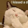 Kittygiggle 的头像