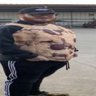 Mitchell profil fotoğrafı