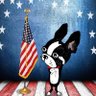 Ludiebug's profile picture