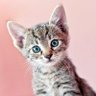 Profilbild von 🥰