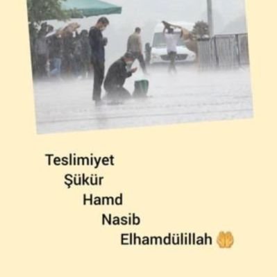 MEHMET YUSUF's profile picture