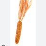 Panoya's profile picture