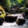 Troutphisher profil fotoğrafı