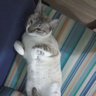 Kodrir 🖐️😝🤚 profil fotoğrafı